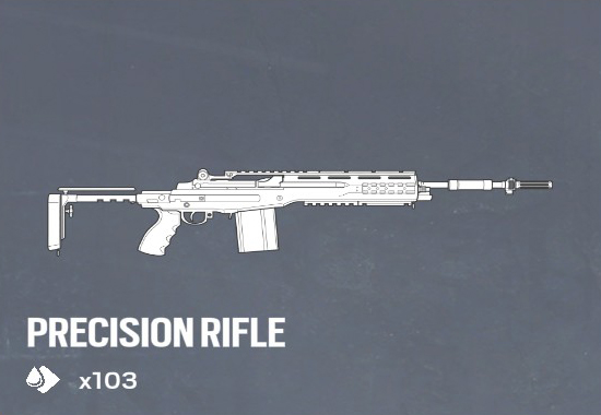 Marksman Rifles