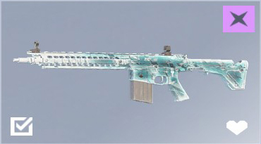 SR-25